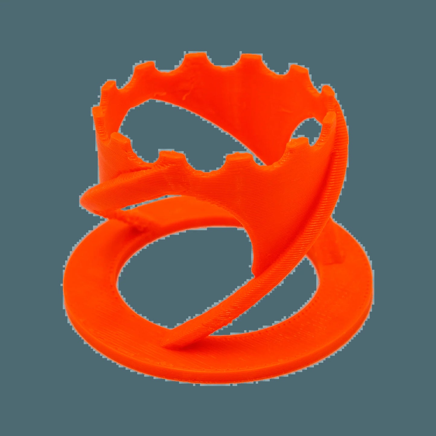 Scoly Stands for Scolymia Corals