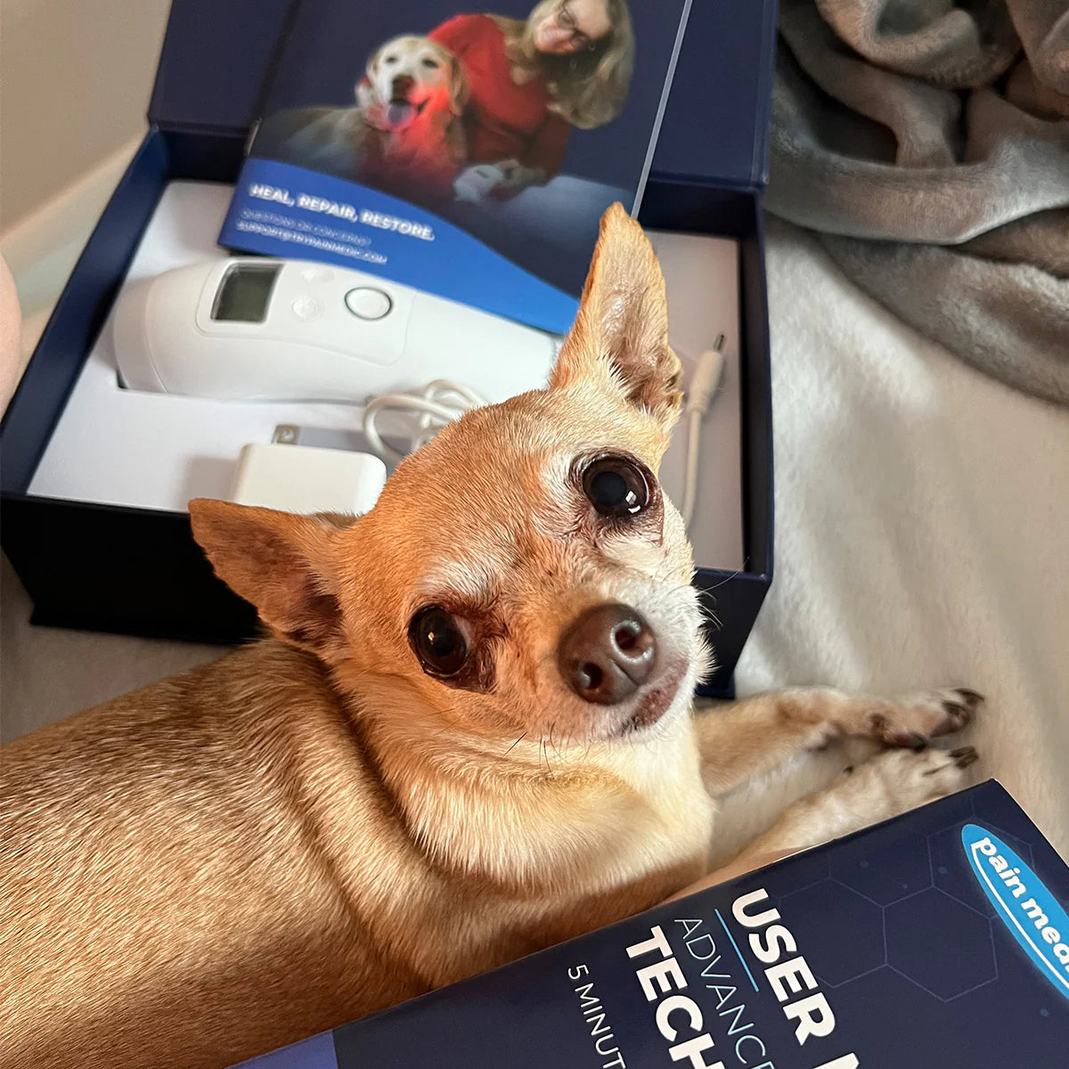 Cold Laser Therapy Device for Pets