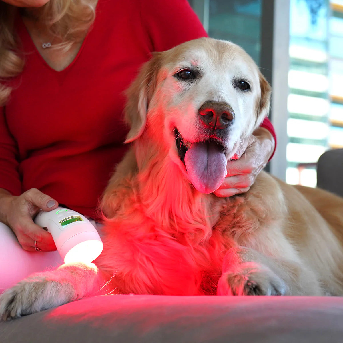 Cold Laser Therapy Device for Pets