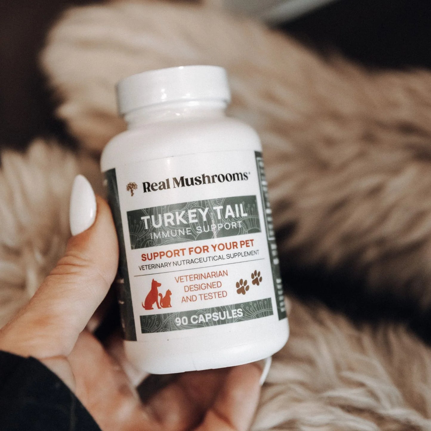 Turkey Tail Extract Capsules for Pets