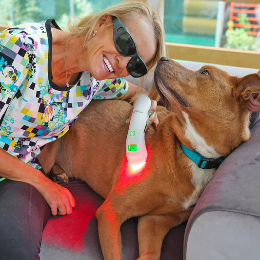 Cold Laser Therapy Device for Pets