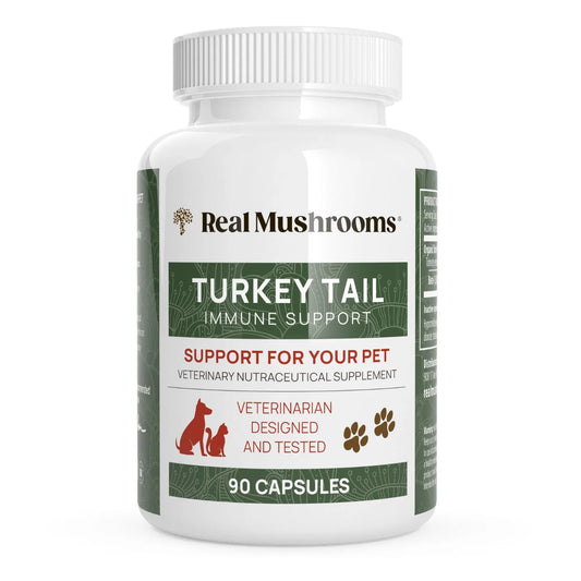 Turkey Tail Extract Capsules for Pets